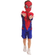 HOMEM ARANHA -2-